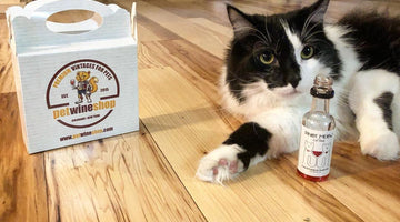 Pet Wine Shop Offering Free Cat Wine During Quarantine