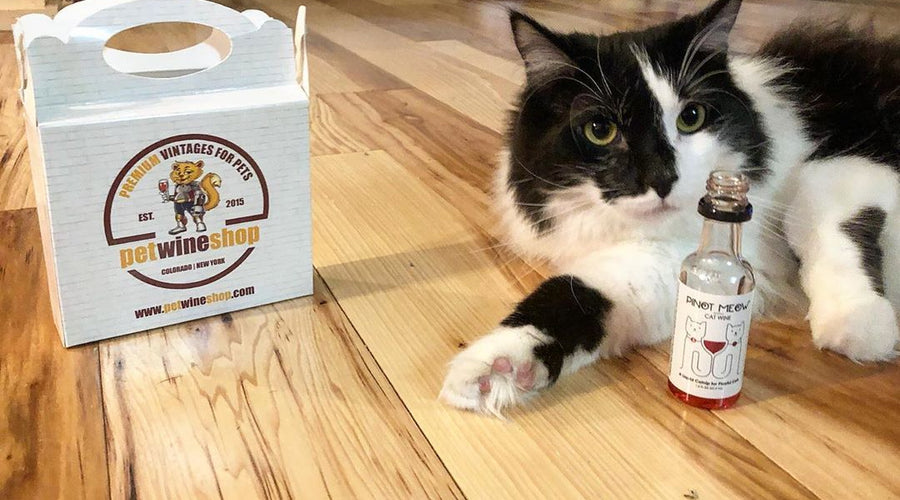 Tienda de vinos para mascotas que ofrece vino para gatos gratis durante la cuarentena