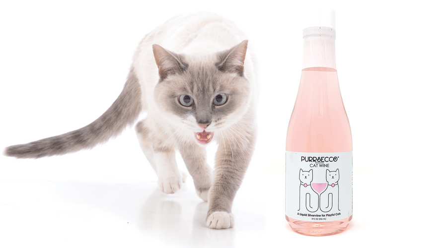 El vino para gatos Purrsecco es el regalo navideño perfecto para los amantes de los gatos