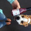Cargar imagen en el visor de la galería, ZinfanTail Dog Wine.