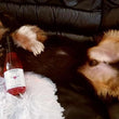 Cargar imagen en el visor de la galería, ZinfanTail Dog Wine.