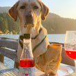 Cargar imagen en el visor de la galería, ZinfanTail Dog Wine.