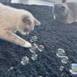 Load image into Gallery viewer, Catnip Bubbles by Outer Cat.