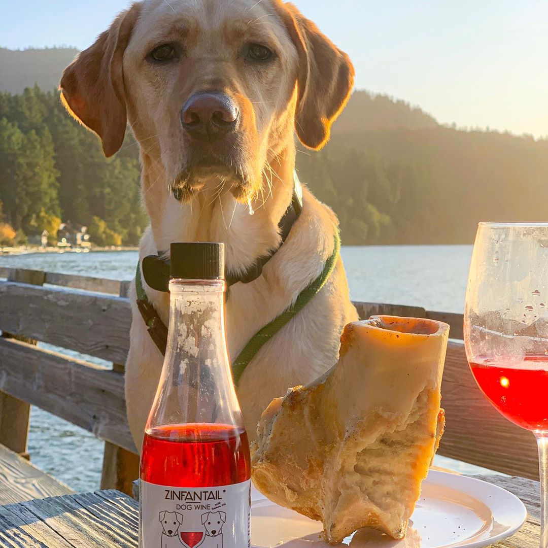 Zinfantail Dog Wine