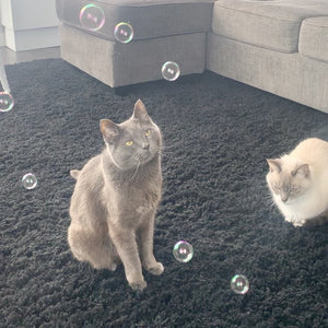 Catnip Bubbles by Outer Cat.