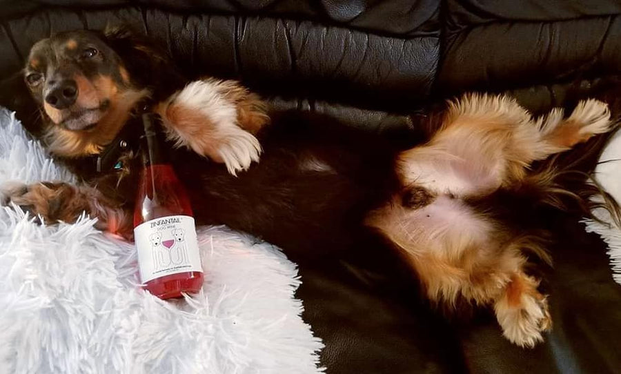 ZinfanTail Dog Wine.