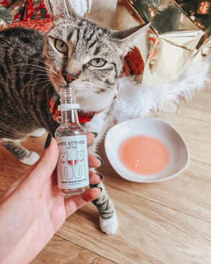 Cat Wine Bubbles Pawty Pack, PetWineShop