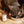 Load image into Gallery viewer, Pinot Meow Cat Wine.
