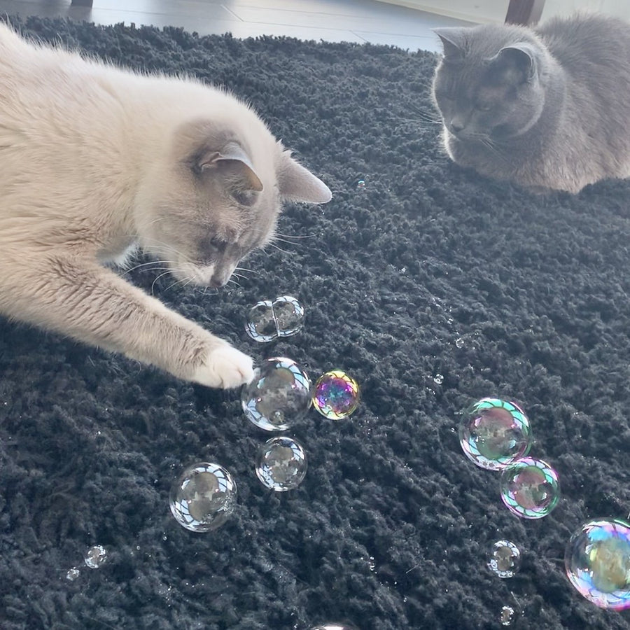 Catnip Bubbles by Outer Cat.