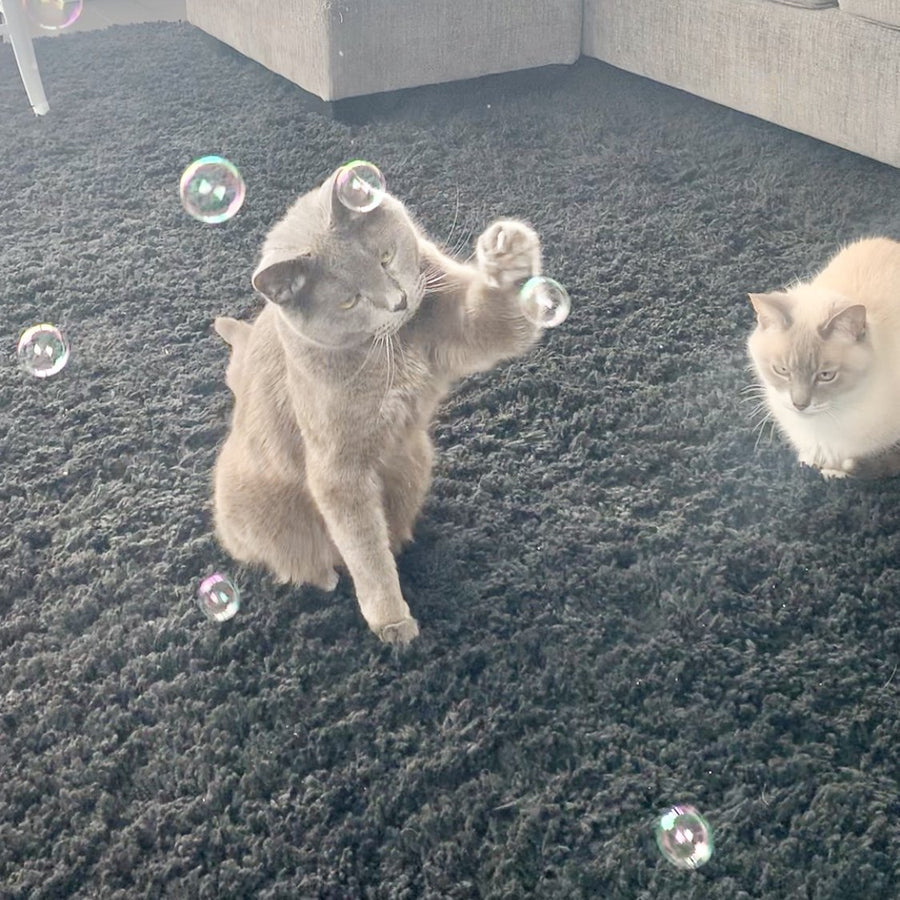 Catnip Bubbles by Outer Cat.