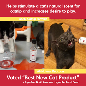 Summer Cat Wine Pawty Pack (Small Gift Pack)