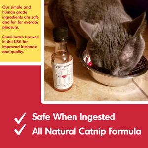Summer Cat Wine Pawty Pack (Small Gift Pack)