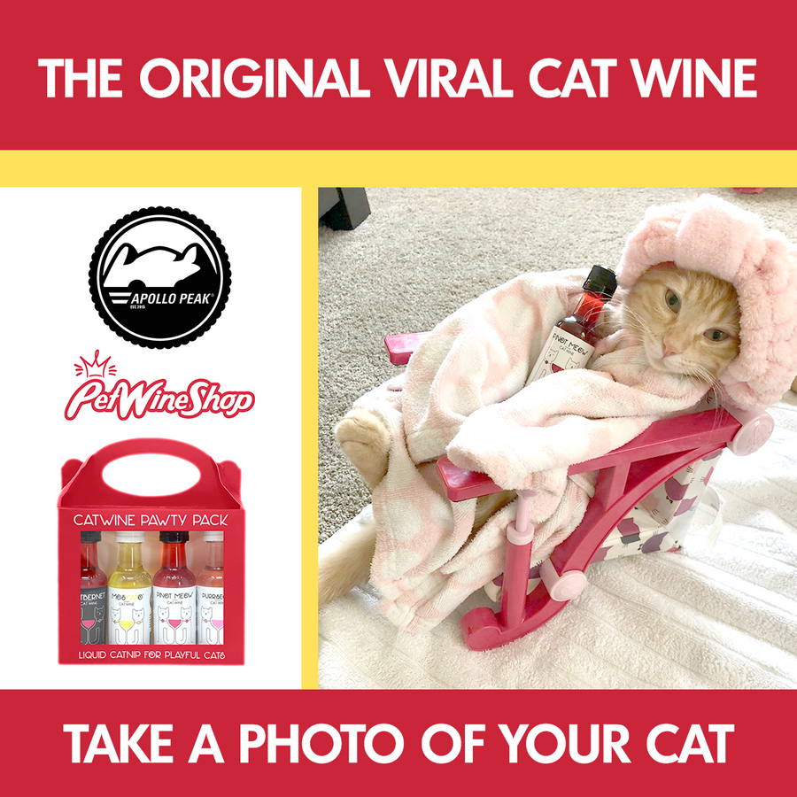 Cat Wine Pawty Pack 4 Pack